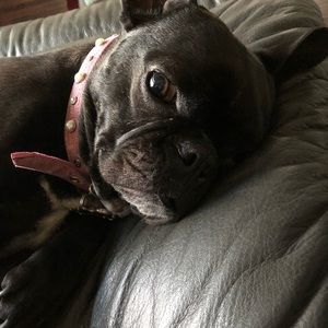 Meet your Posher, Dianna